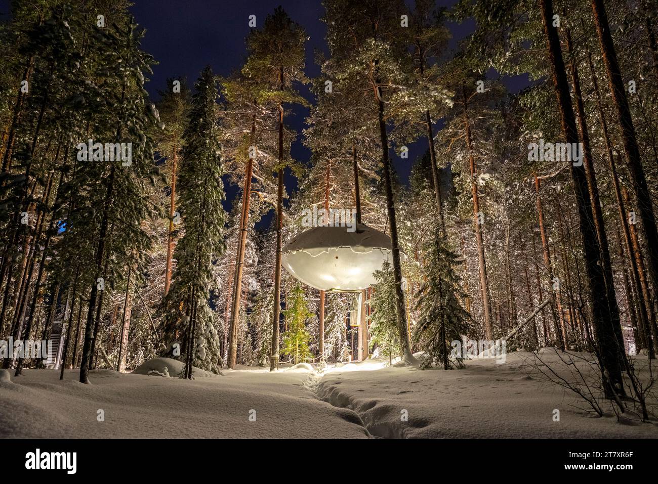 Illuminated UFO shaped room in the frozen forest covered with snow, winter view, Swedish Lapland, Harads, Sweden, Scandinavia, Scandinavia, Europe Stock Photo