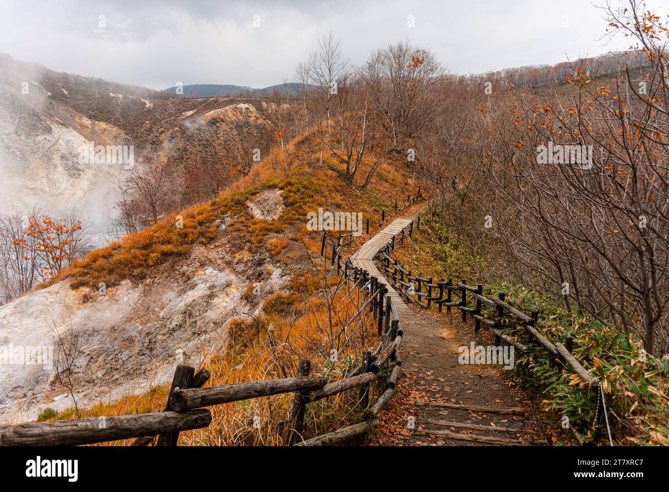 Walking path leading through autumal forest with steaming volcanic valley of Noboribetsu on the left, Hokkaido, Japan, Asia Stock Photo