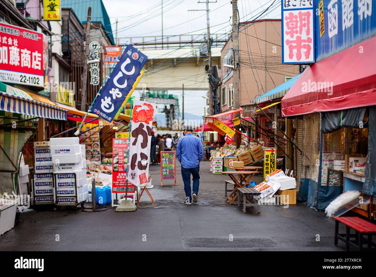 Fish market of Hakodate, Hokkaido, Japan, Asia Stock Photo Alamy