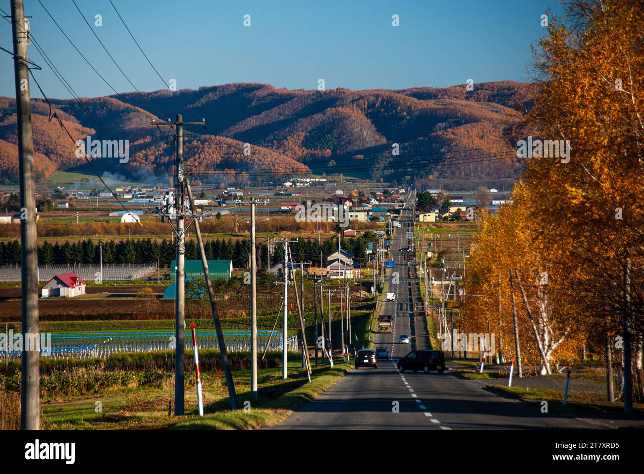 Rural autumn landscape, Highway with autumnal forest hills, Hokkaido, Japan, Asia Stock Photo