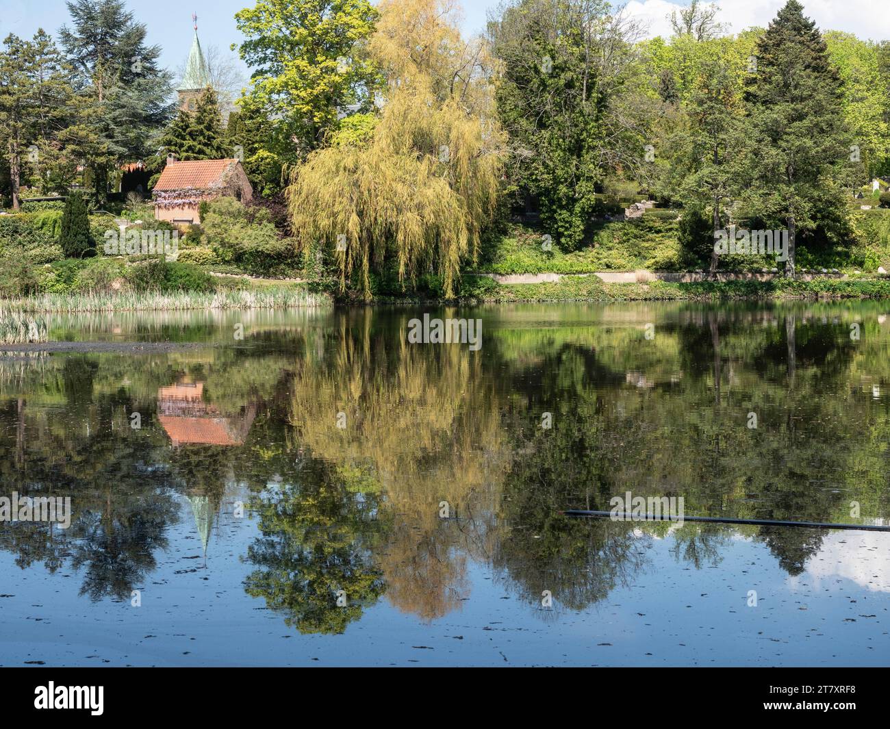 Lake in the grounds of the Louisiana Museum of Modern Art, Humlebaek, Copenhagen, Denmark, Scandinavia, Europe Stock Photo