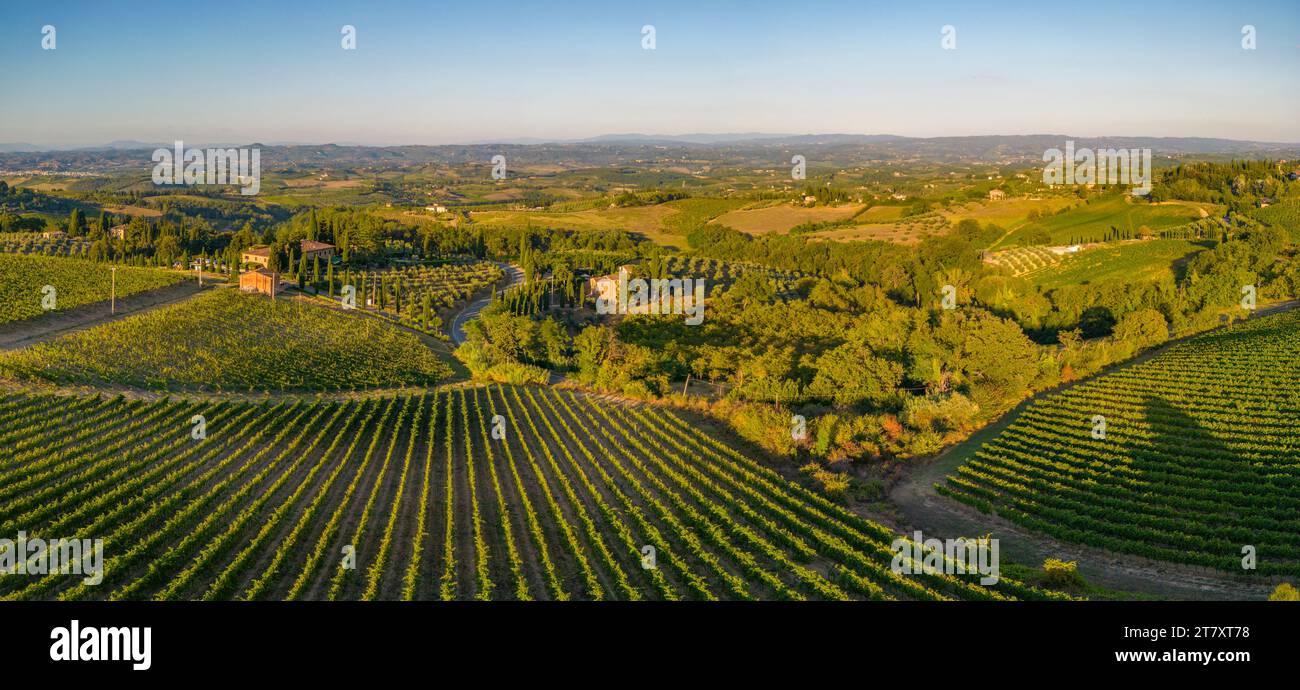 Elevated view of vineyards near San Gimignano at sunrise, San Gimignano, Tuscany, Italy, Europe Stock Photo