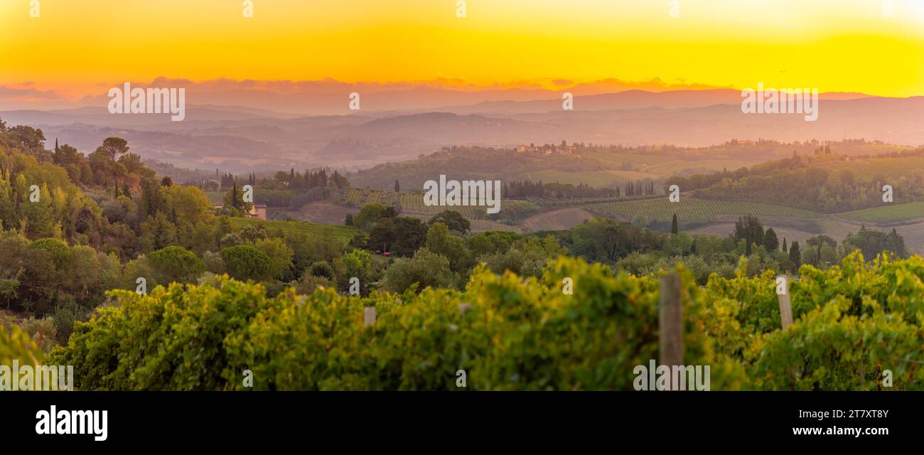 View of vineyards and landscape at sunrise near San Gimignano, San Gimignano, Province of Siena, Tuscany, Italy, Europe Stock Photo