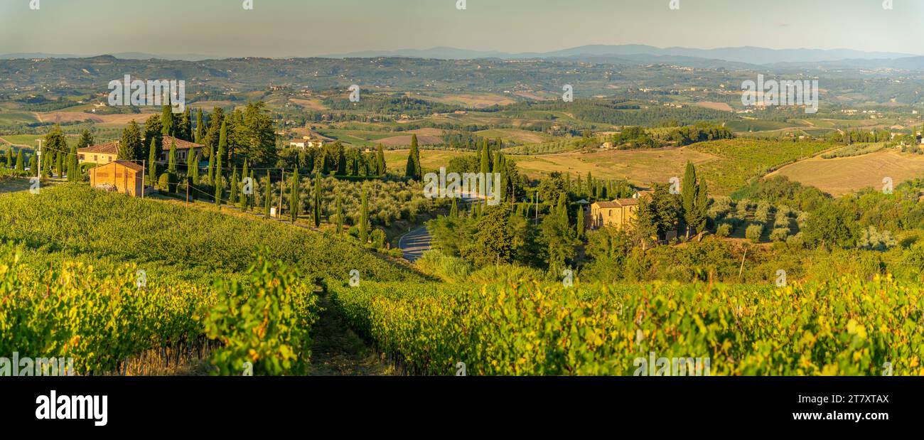 View of chaleau and vineyards near San Gimignano, San Gimignano, Province of Siena, Tuscany, Italy, Europe Stock Photo