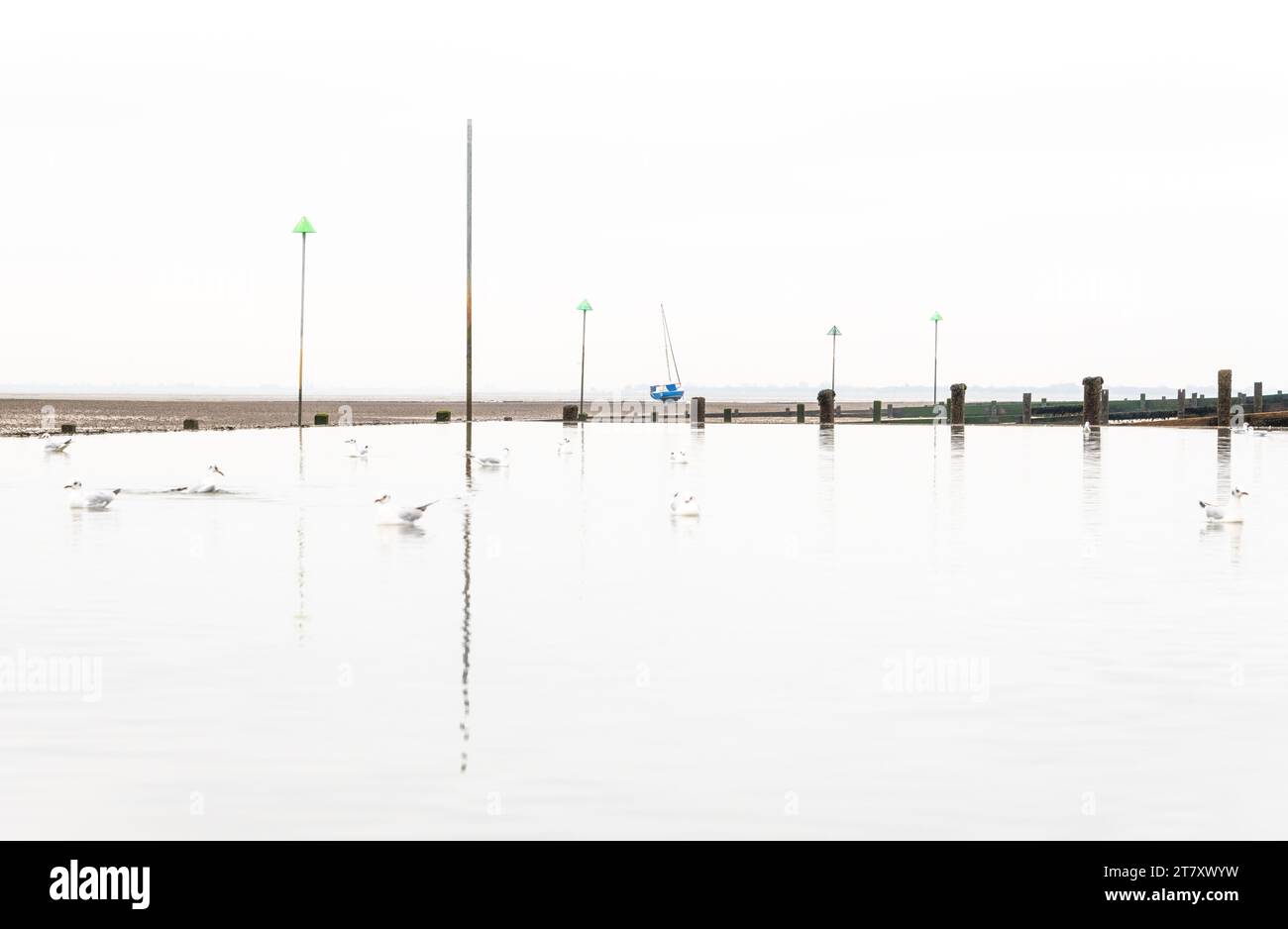 Tidal pool at low tide at Leigh on Sea, Essex, England, United Kingdom, Europe Stock Photo