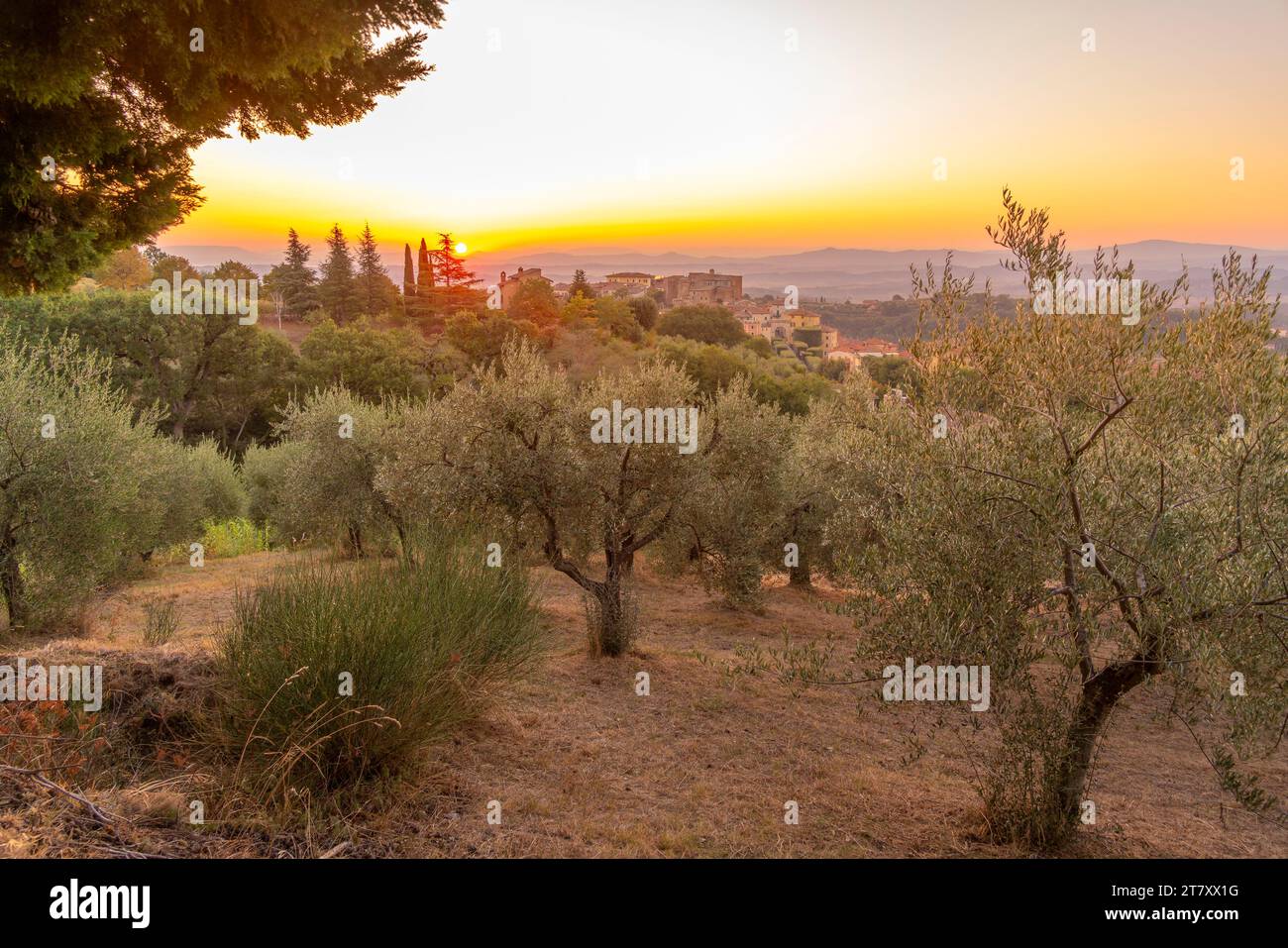 View of sunrise over Chianciano Terme, Province of Siena, Tuscany, Italy, Europe Stock Photo