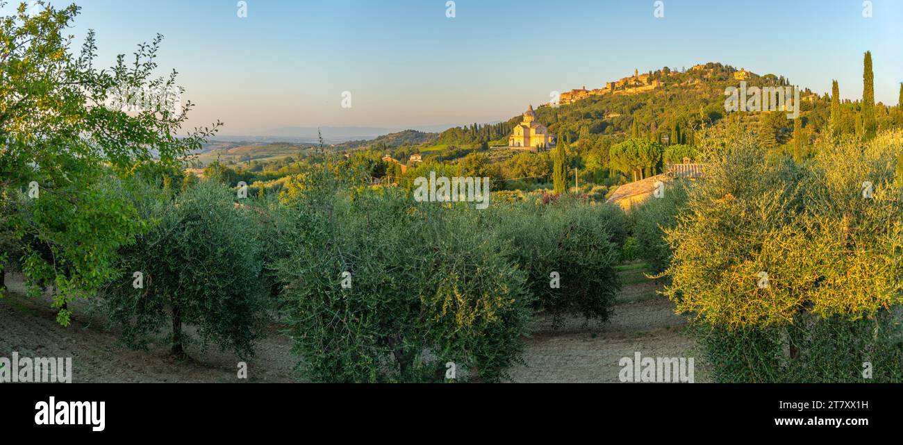 View of medieval hilltop town of Montepulciano, Montepulciano, Province of Siena, Tuscany, Italy, Europe Stock Photo