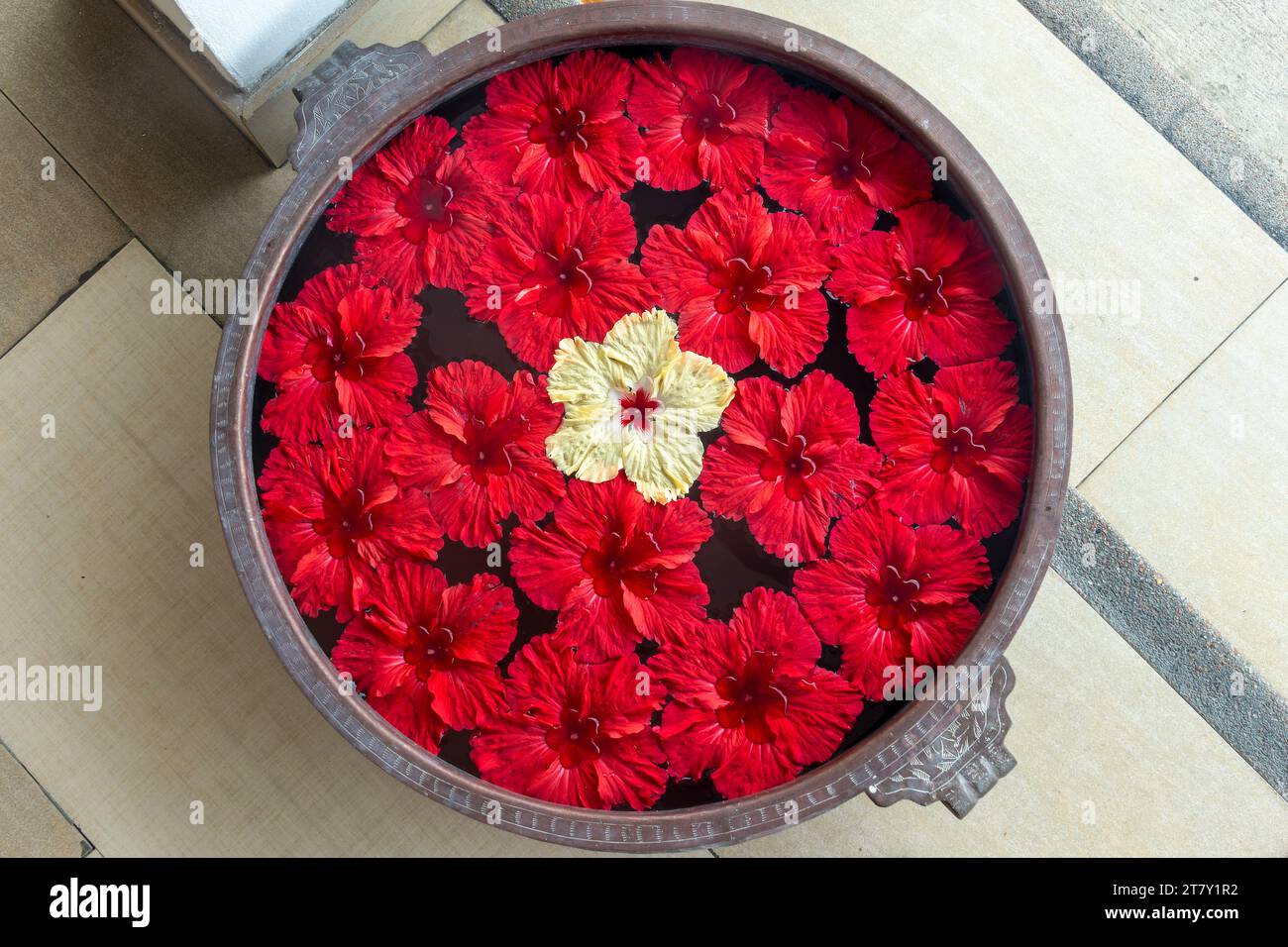 Top view of a flower mandala with red hibiscus floating on water in a vase, tropical floral decor, Seychelles Stock Photo
