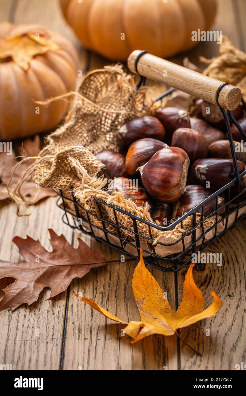 Organic sweet chestnuts in a basket on kitchen table, prepared for baking or cooking Stock Photo