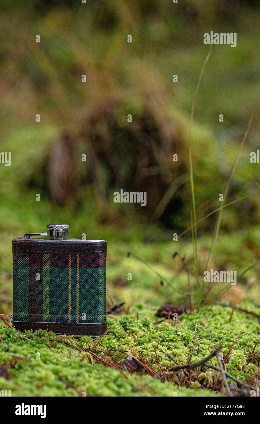 Tartan Hip Flask in forest Stock Photo