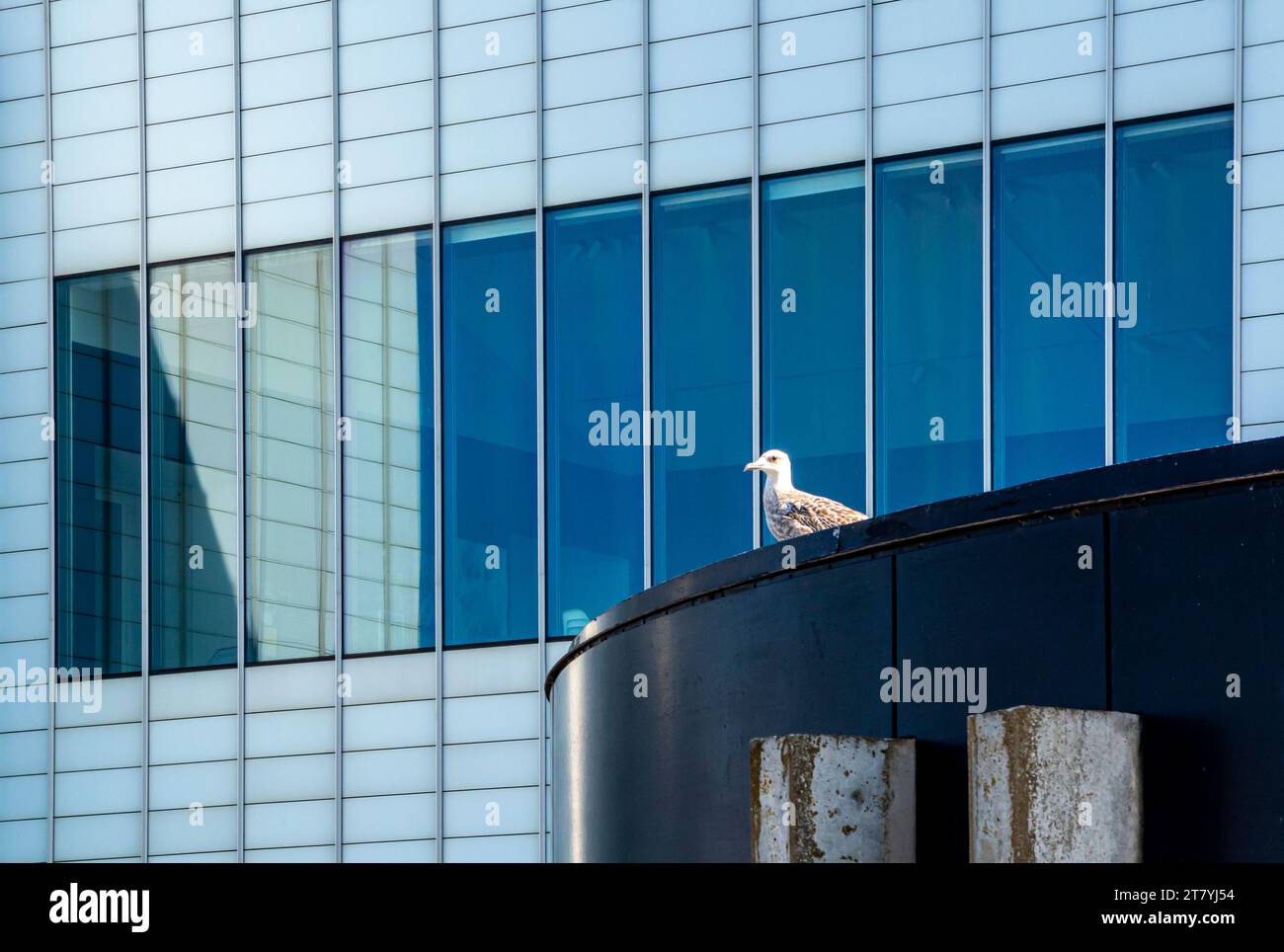 Exterior view of the Turner Contemporary Art Gallery in Margate Kent