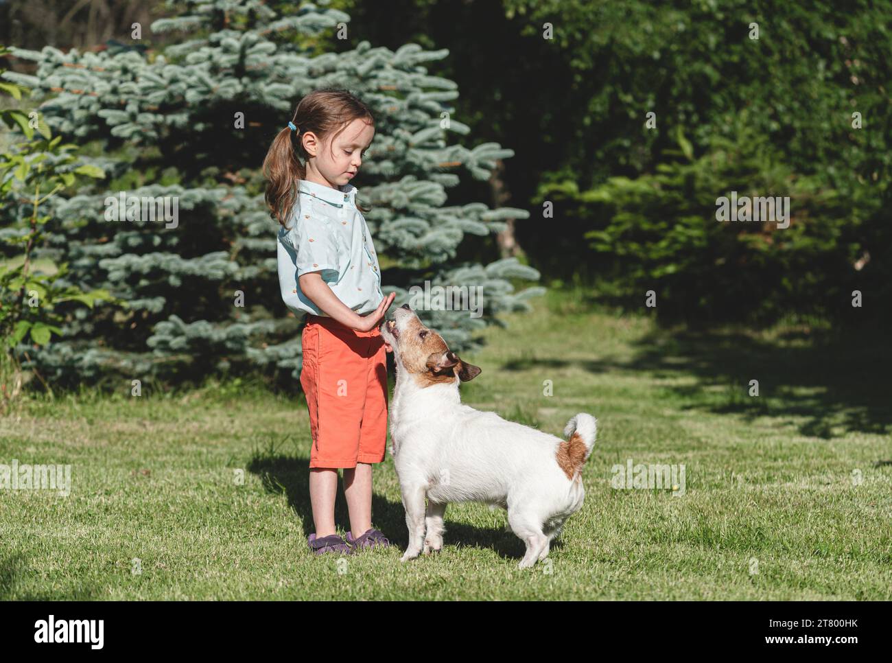 Child wants to become a dog trainer is learning how to train a dog Stock Photo