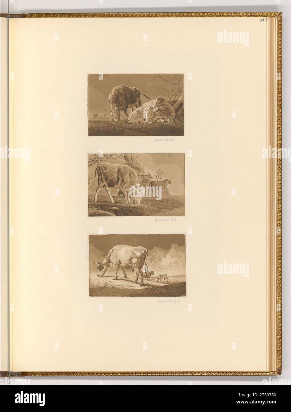 Johann Heinrich Menken (Ausführende r Künstler in) Cows. Aquatinta 1786