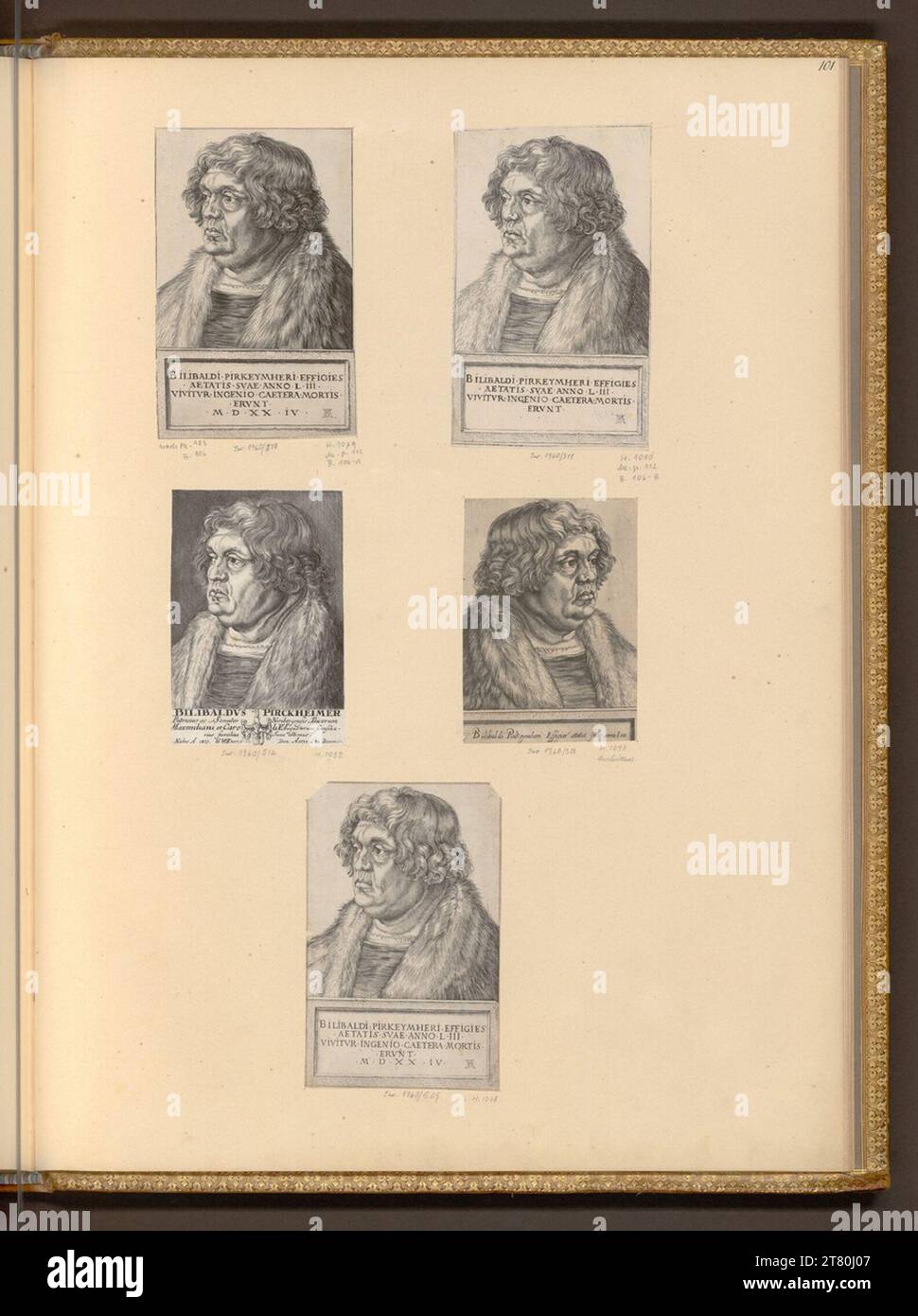 Albrecht Dürer Willibald Pirkheimer. Copper engraving; etching after ...
