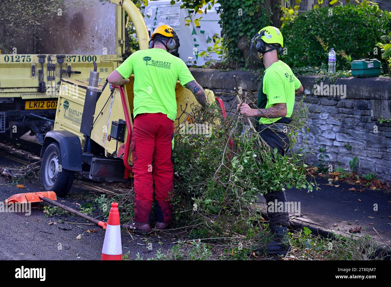 Two tree surgeons feeding branches into wood chipping machine at side of road, UK Stock Photo
