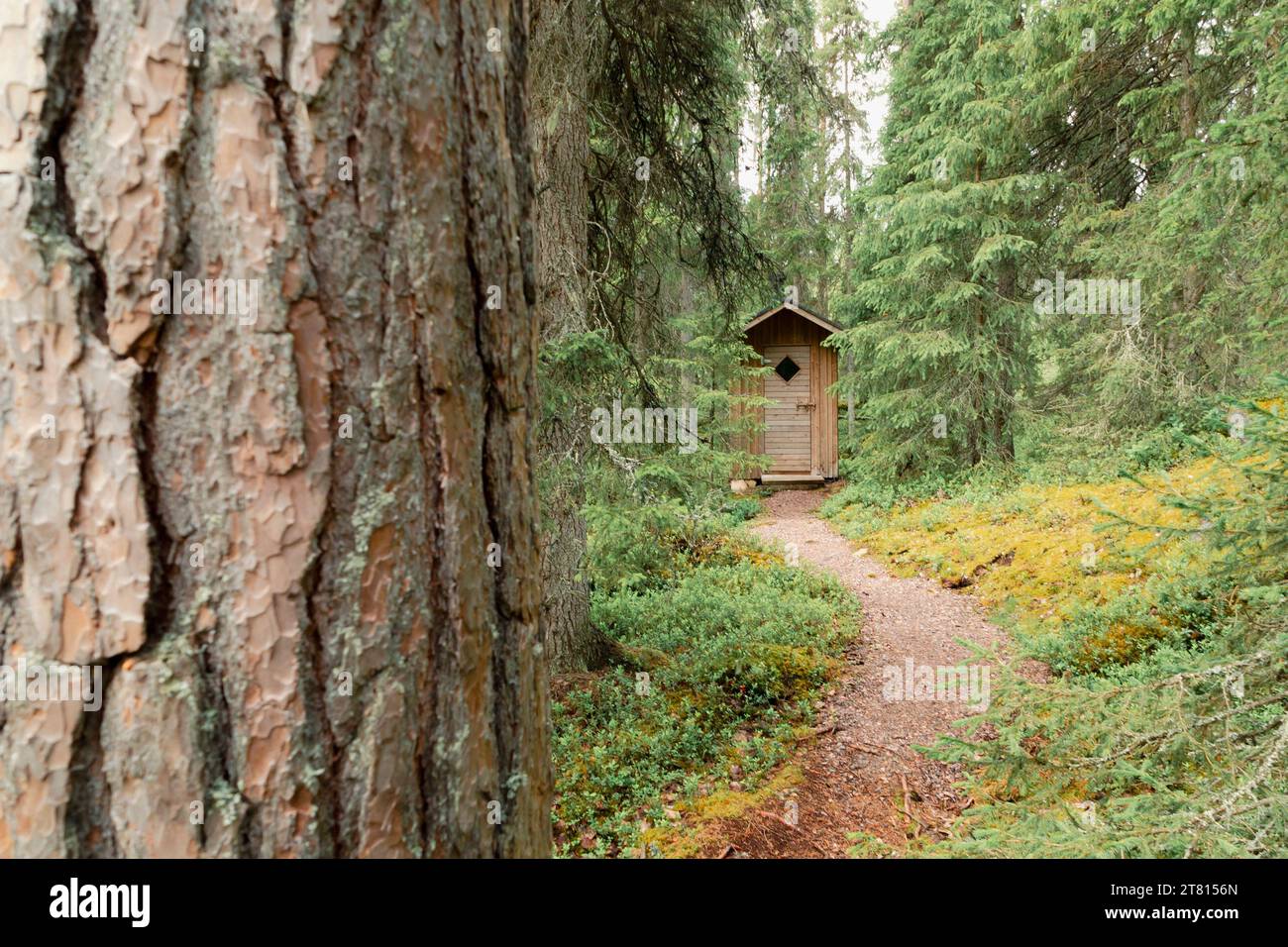 A small wooden toilet with a pathway leading up towards it at a rest stop on a hiking trail in the north of Finland Stock Photo