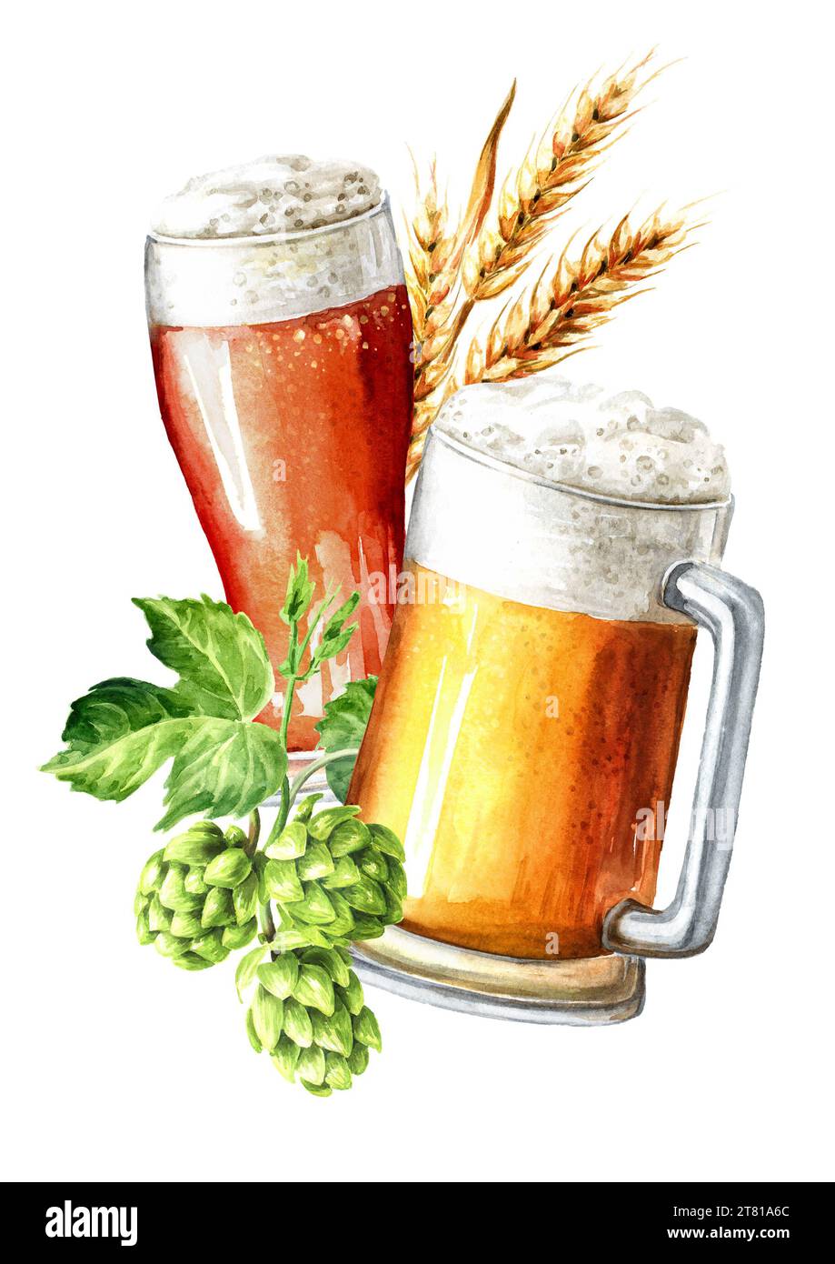 Light beer and Fresh green hops and ears of wheat and barley. Hand drawn watercolor illustration isolated on white background Stock Photo