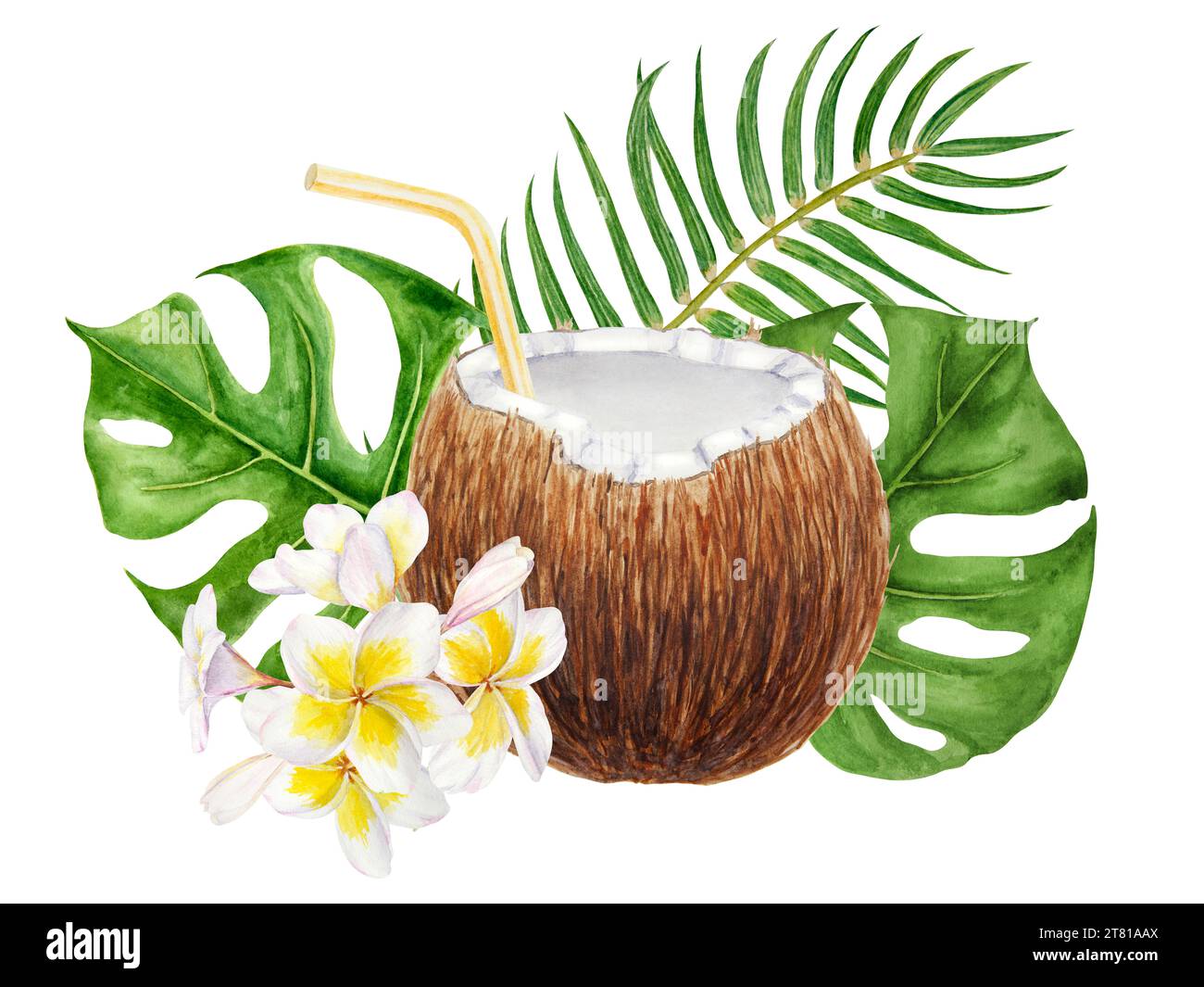White frangipani, green monstera, palm leaves illustration. Watercolor ...