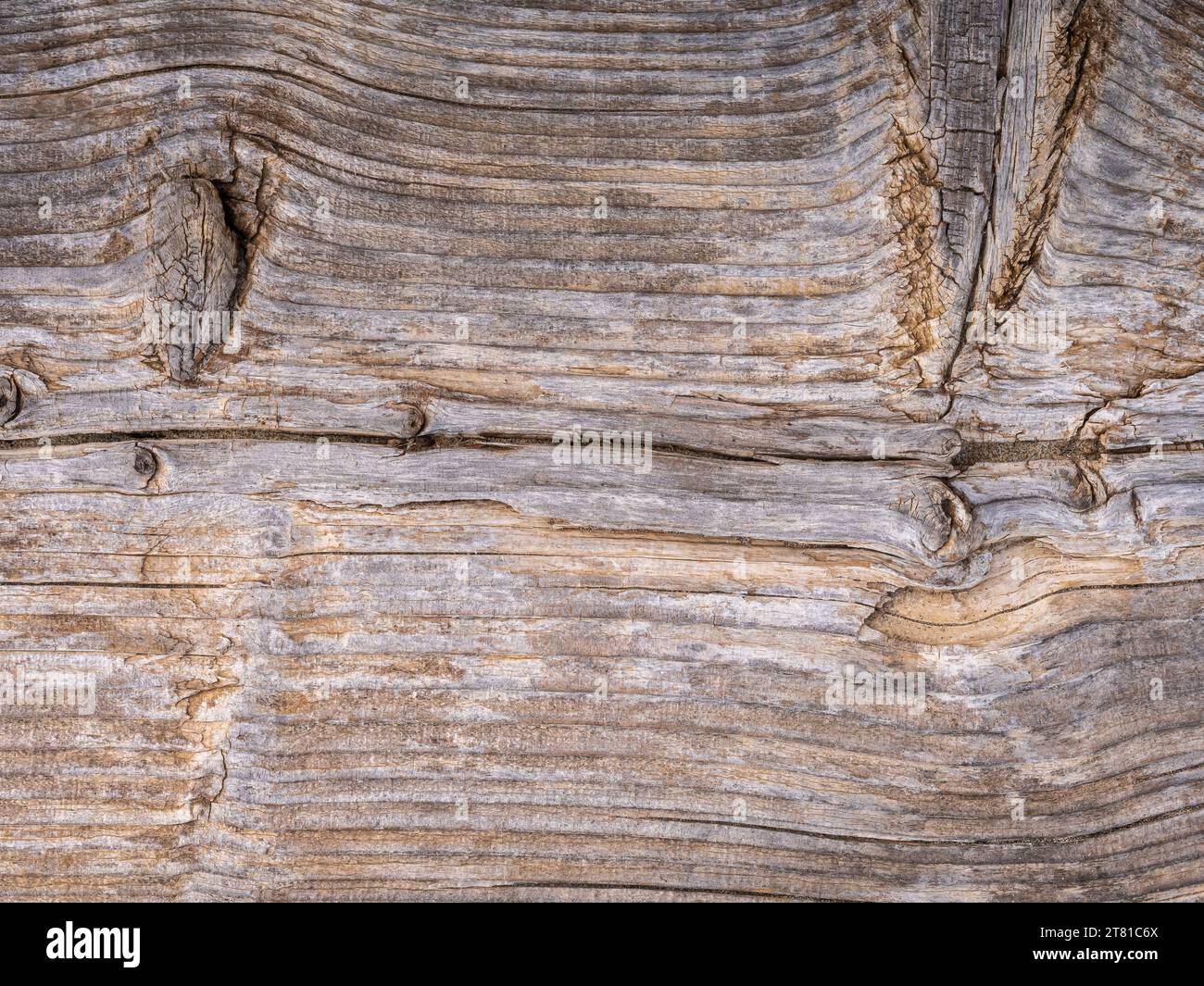 Wood background. The old wood texture with natural patterns Stock Photo