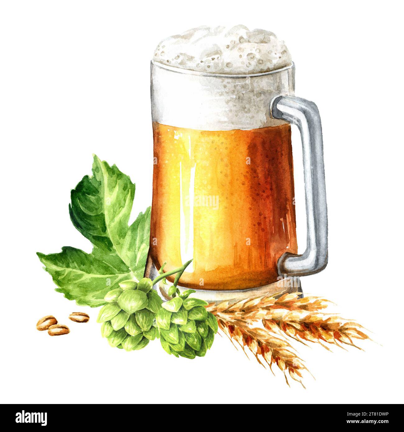 Mug of Light beer and Fresh green hops and ears of wheat and barley. Hand drawn watercolor illustration isolated on white background Stock Photo