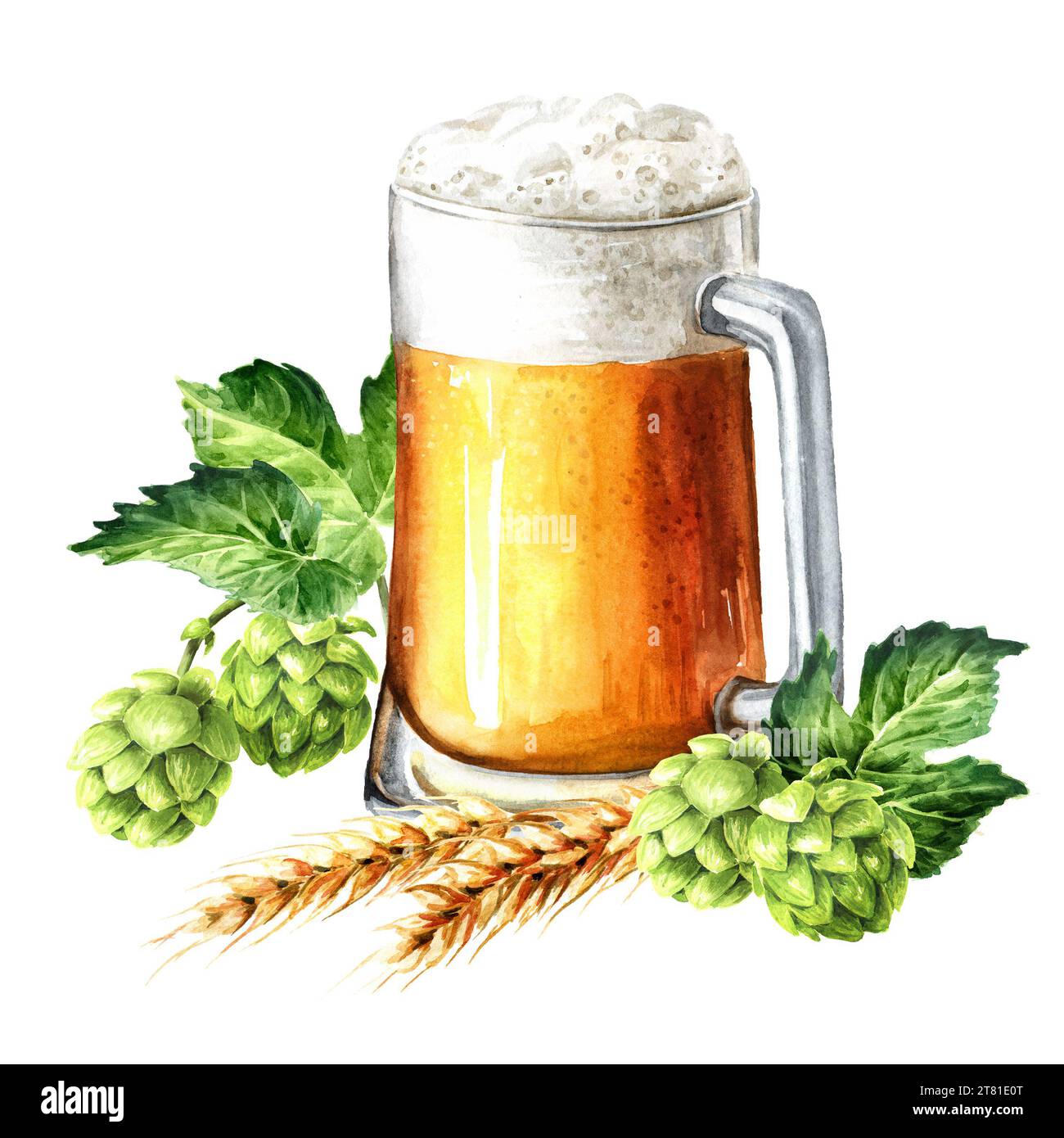 Mug of Light beer and Fresh green hops and ears of wheat and barley. Hand drawn watercolor illustration, isolated on white background Stock Photo