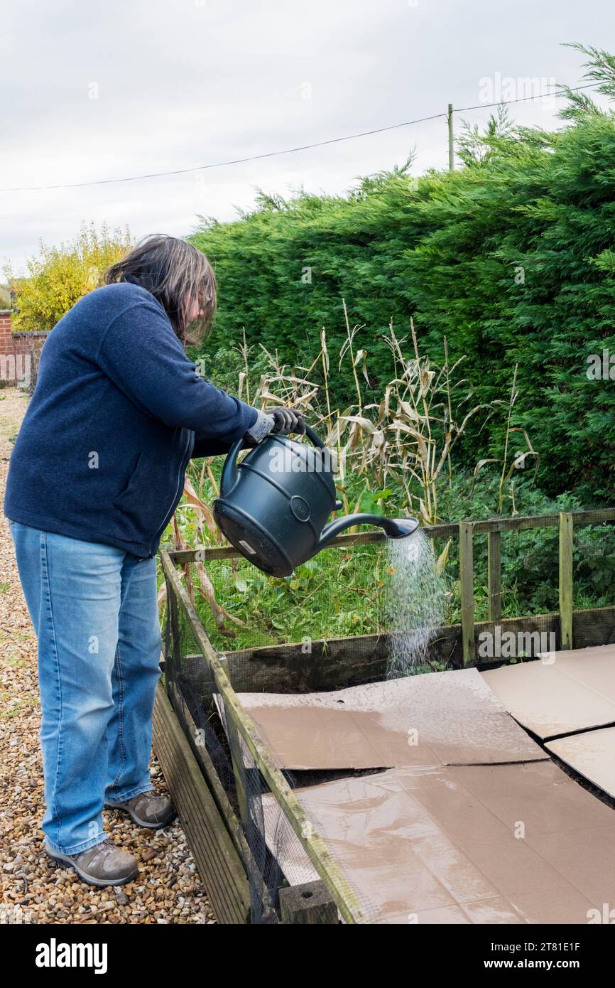 No dig gardening. Soil covered with cardboard, watered, garden compost