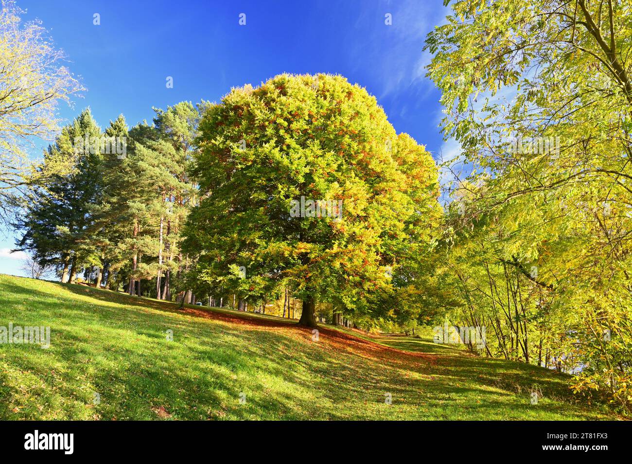 Beautiful colourful autumn landscape in the Czech Republic. Colorful trees in nature in autumn season. Seasonal concept for outdoor activities. Stock Photo