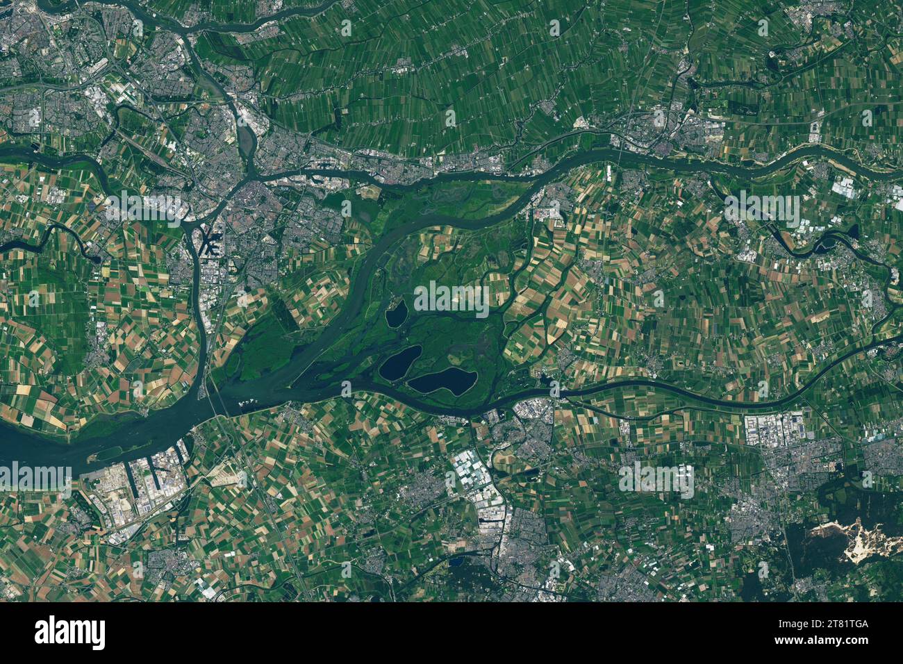 July 8, 2023 - The Netherlands - Within the Netherlands' De Biesbosch