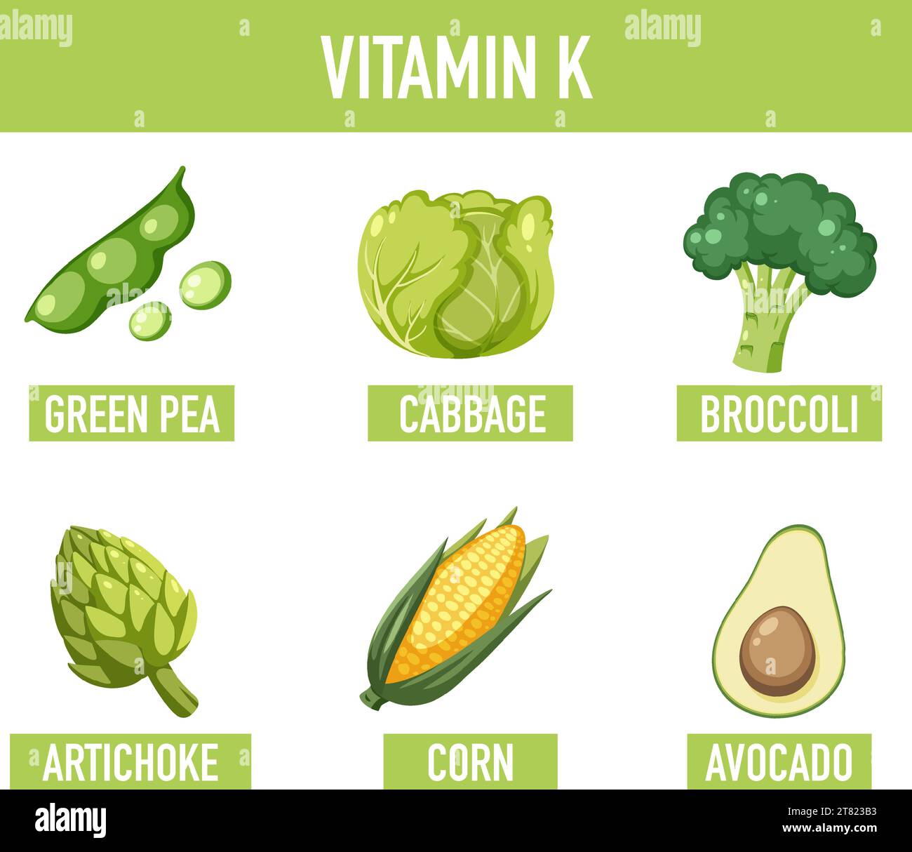 Learn about vitamin Krich foods through a colorful illustration Stock