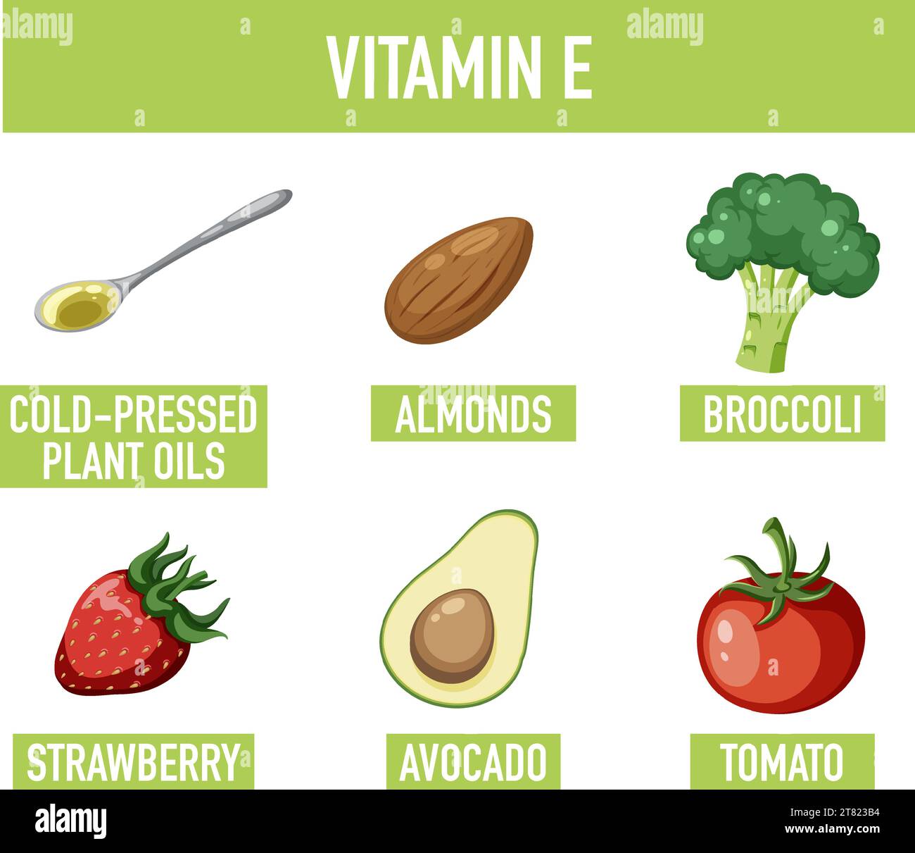 Learn about vitamin E-rich foods in a fun cartoon illustration Stock ...