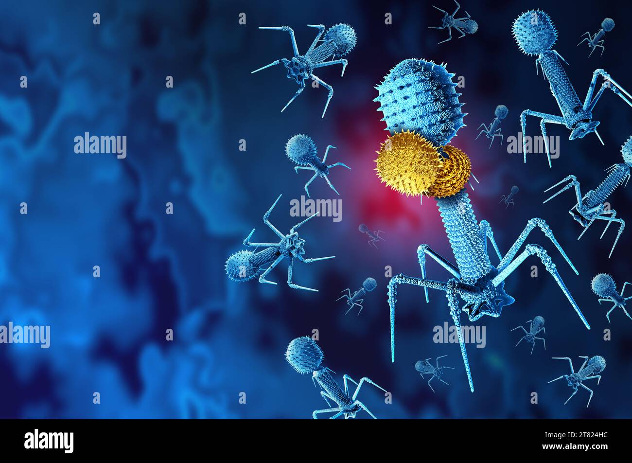 Vampire virus as a small MiniFlayer Phage attaching itself to another helper Bacteriophage that infects viruses to replicate as a virology symbol of a Stock Photo
