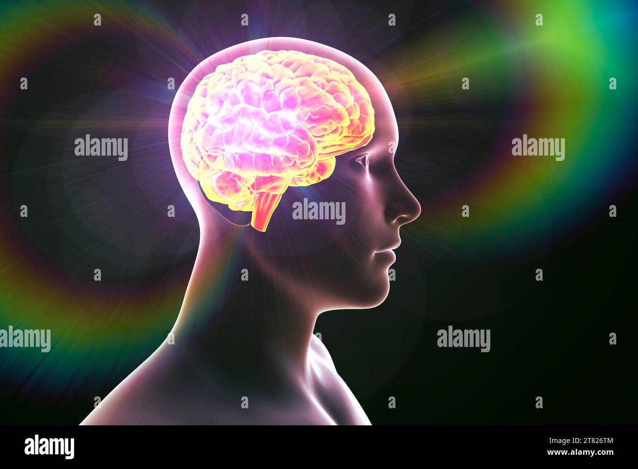 Energy field generated by the human brain, illustration Stock Photo