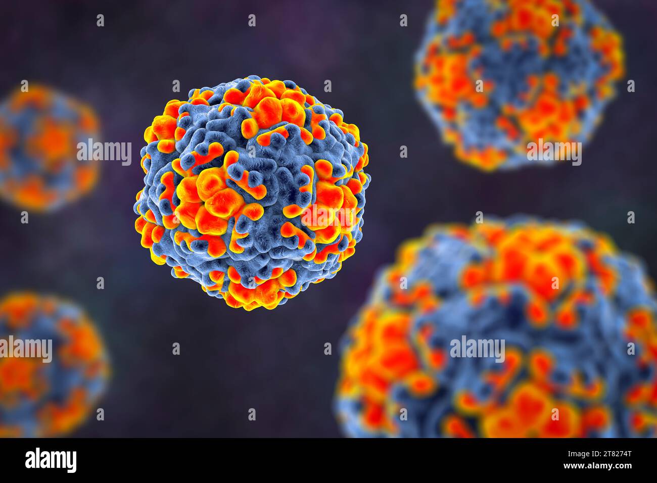 Echo viruses, illustration Stock Photo Alamy