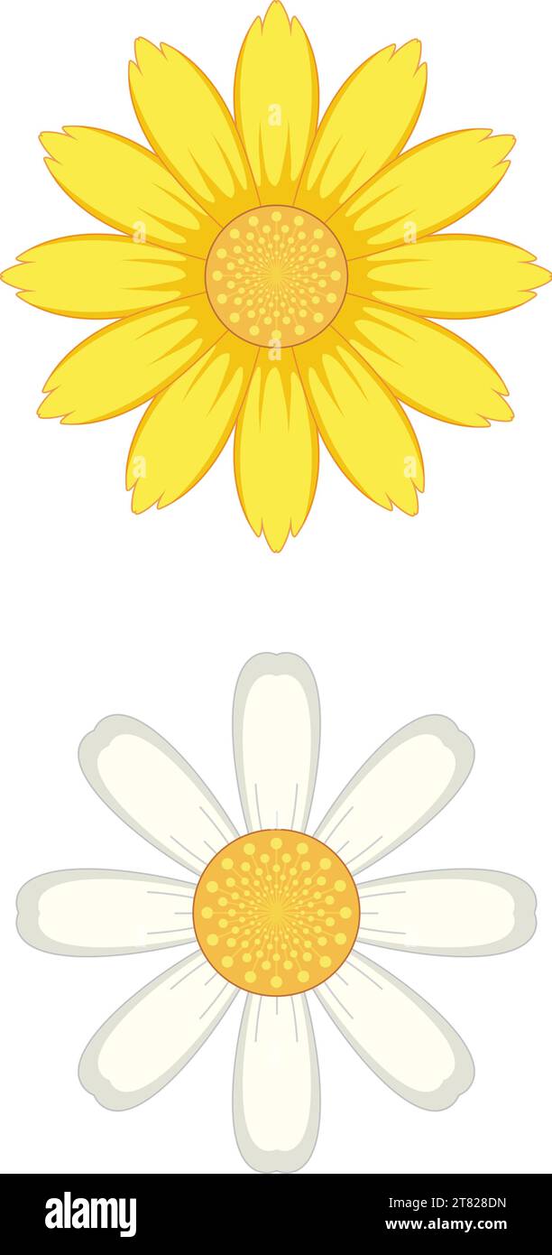 white daisy flower clipart cartoon