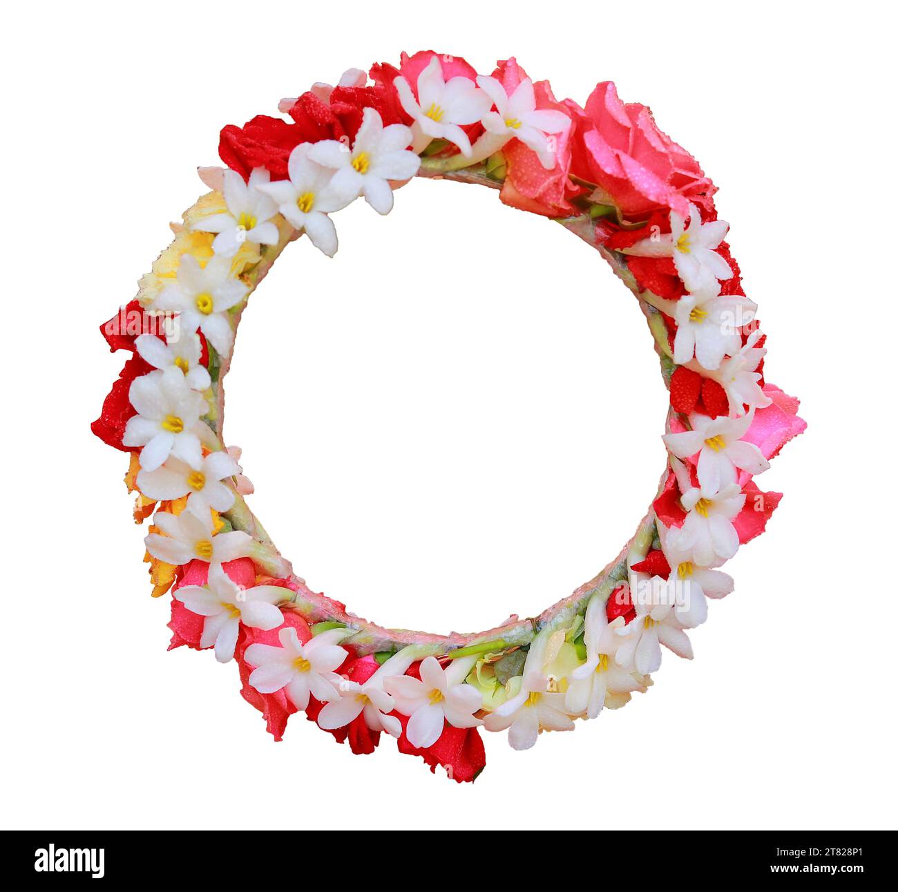 Colorful flower circle isolated on a white background with clipping ...