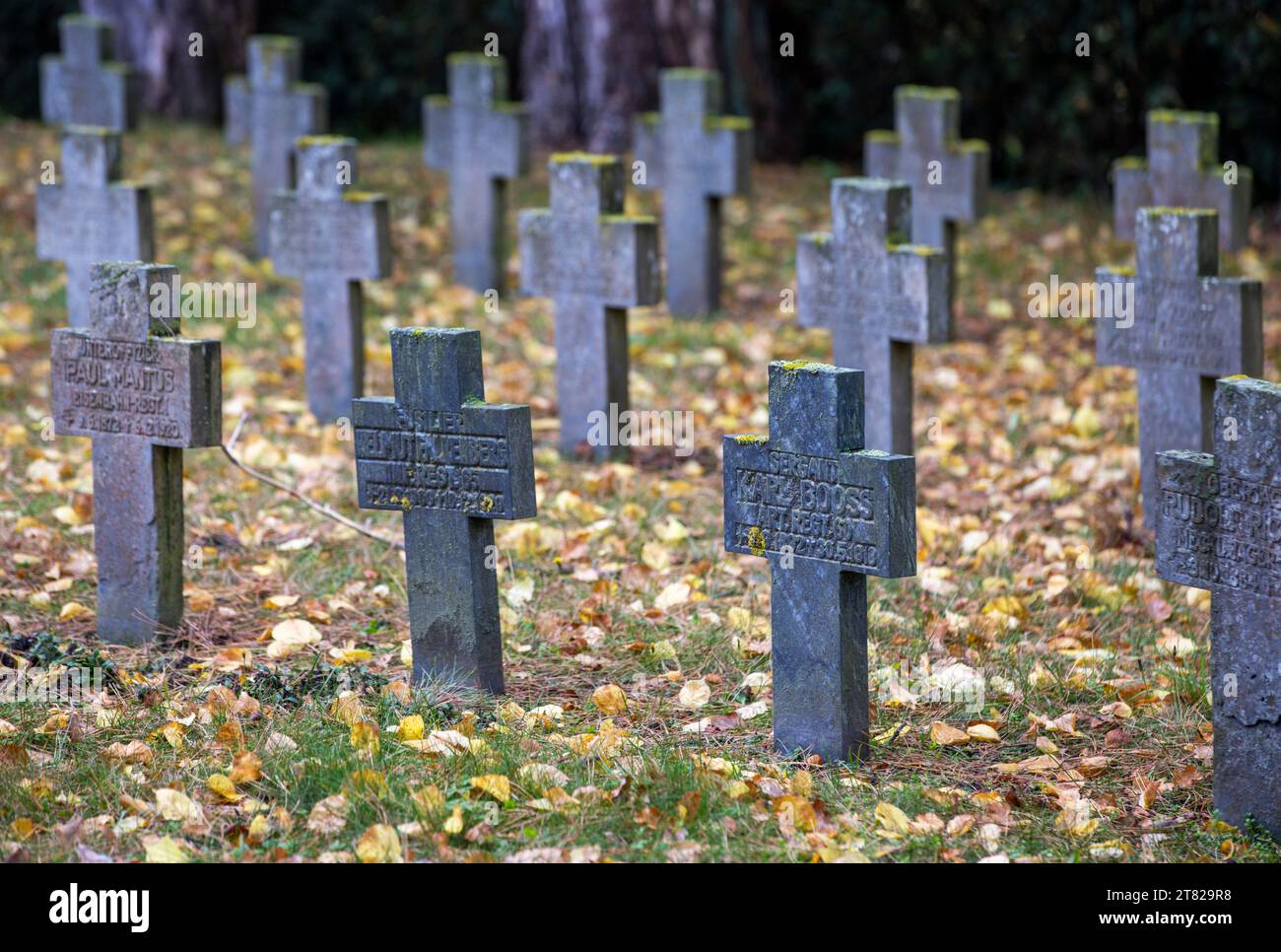 Schwerin, Germany. 17th Nov, 2023. Grave crosses stand at the war graves memorial in the old cemetery. The Volksbund Deutsche Kriegsgräberfürsorge receives 30,000 inquiries a year from individuals across Germany by telephone, e-mail or direct contact. Credit: Jens Büttner/dpa/Alamy Live News Stock Photo