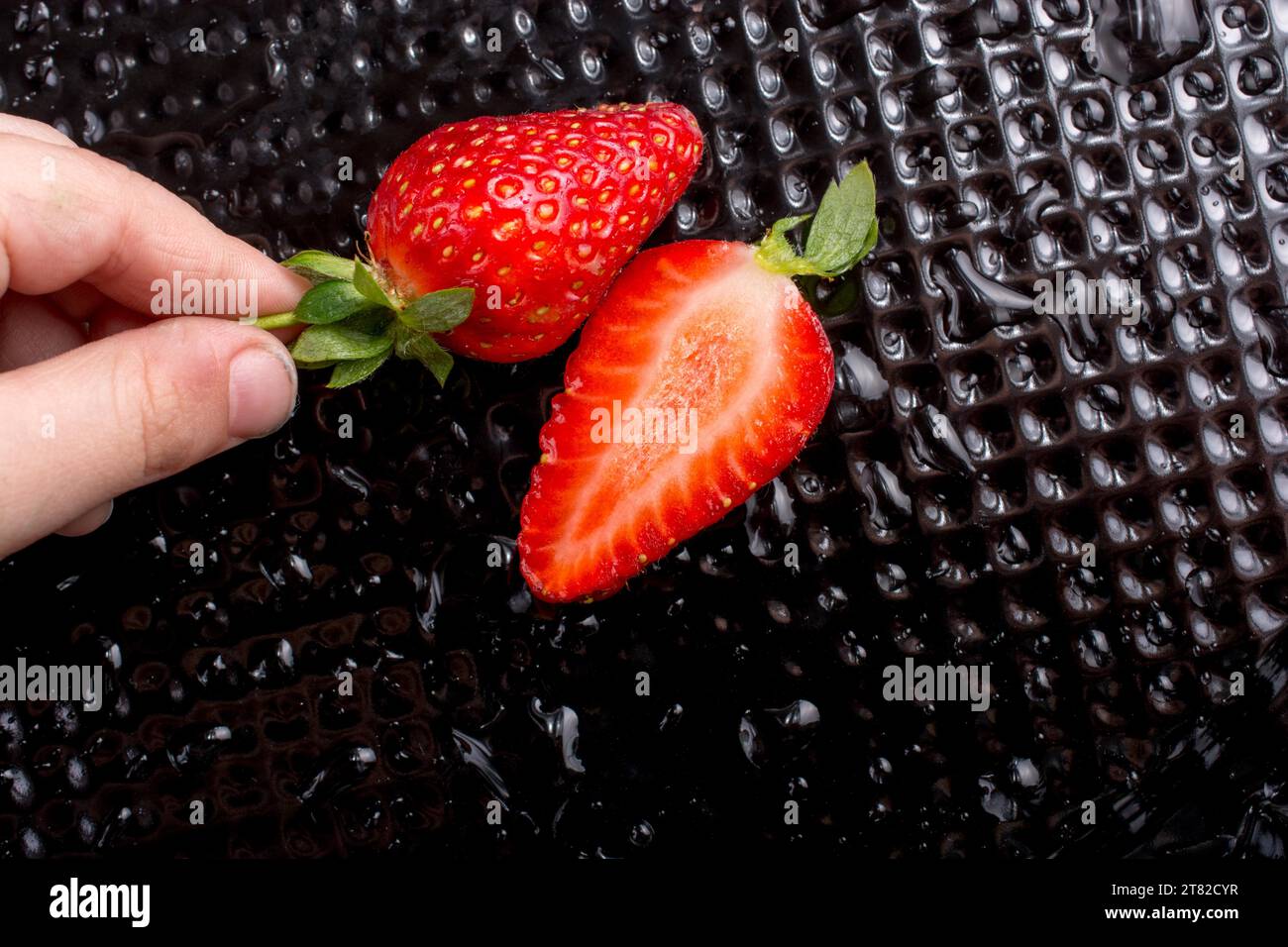 Juicy, sweet and ripe strawberry fruit in hand Stock Photo - Alamy
