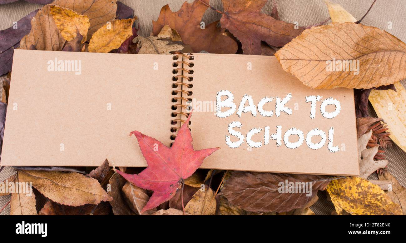 Open blank notebook with fallen autumn leaves as a background Stock Photo