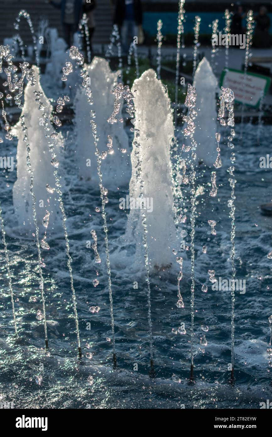 The fountains gushing sparkling water in a pool in a park Stock Photo ...