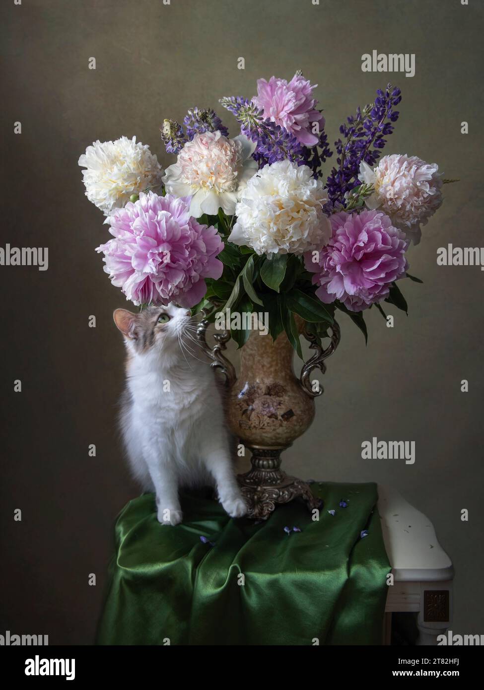 Still life with bouquet of flowers Stock Photo - Alamy