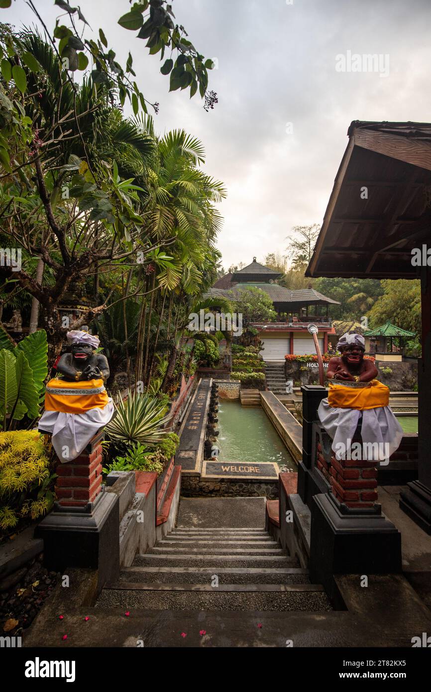 Hot springs, thermal bath in the tropical jungle. Ritual sulphurous pool for swimming. Banjar, Bali Stock Photo