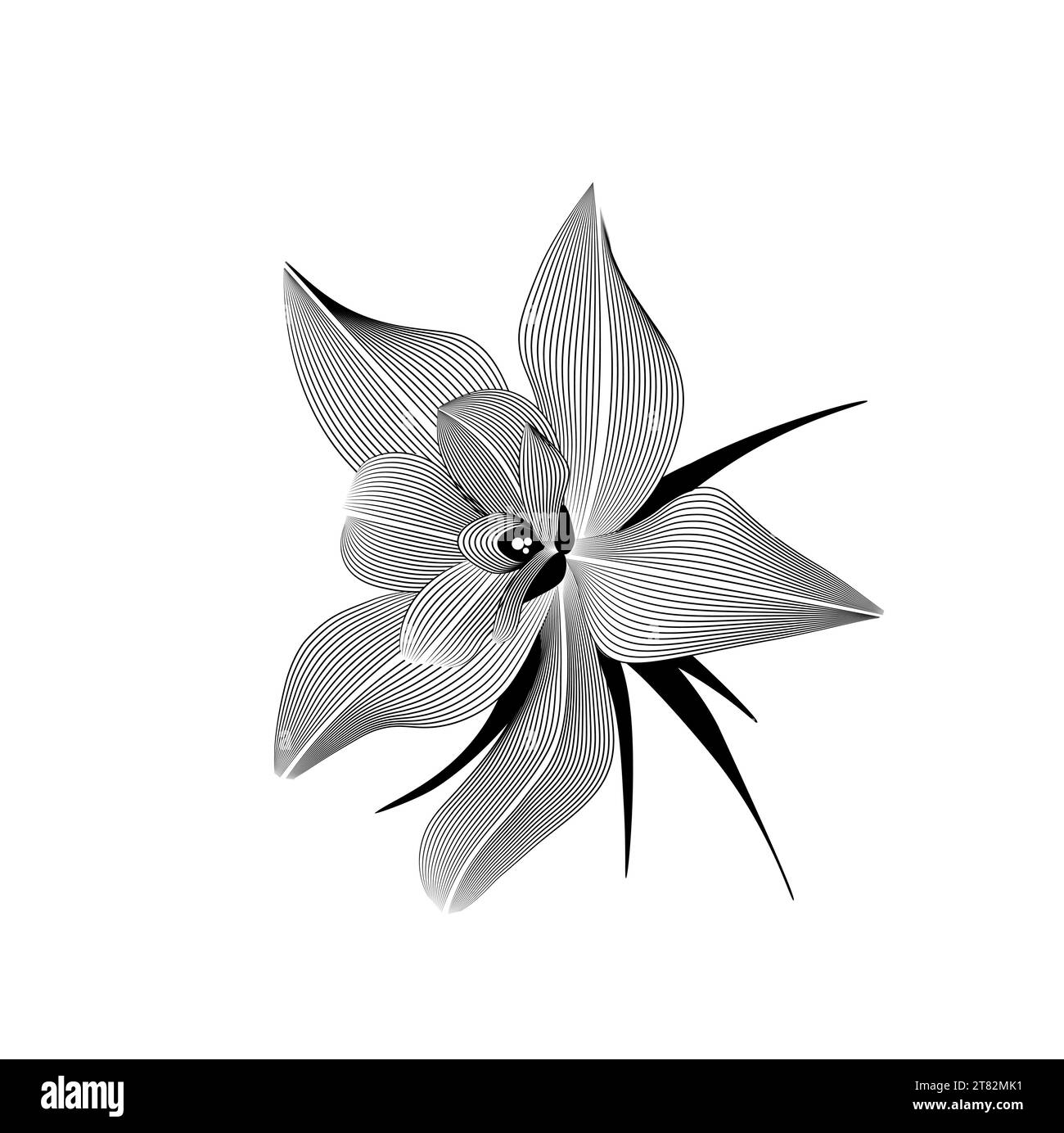 flower top view, line pattern. Vector illustration of engraving for