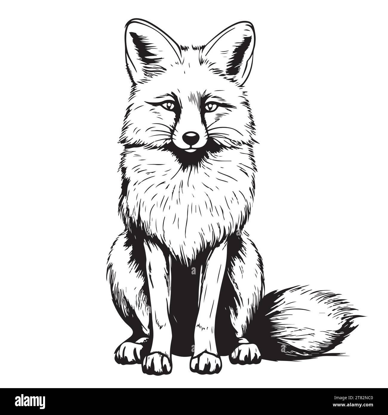 Fox sitting cartoon. Graphic, sketch, black and white, hand-drawn