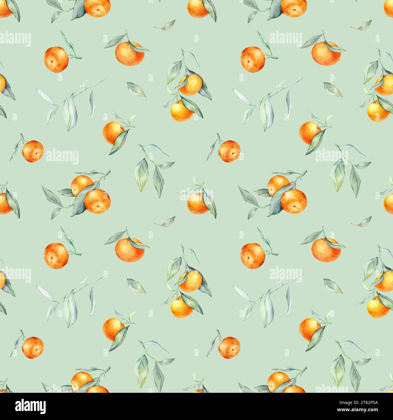 Seamless Pattern with Orange Fruit Branches, green leaves. Hand drawn ...