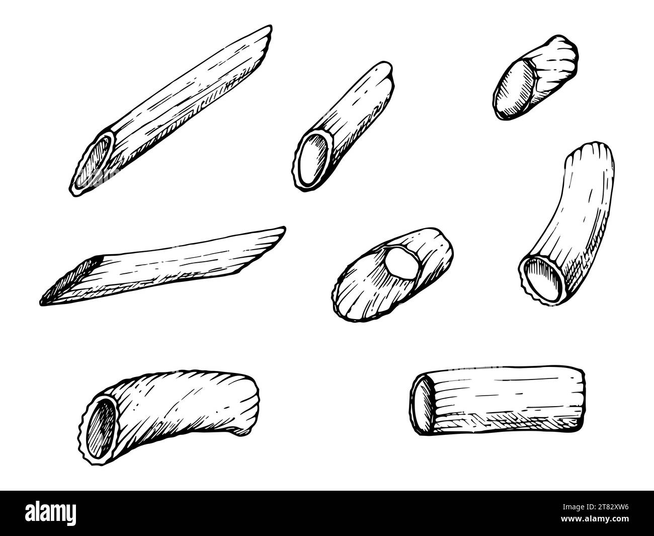 Hand drawn vector ink illustration. Pasta Italian cuisine penne ...