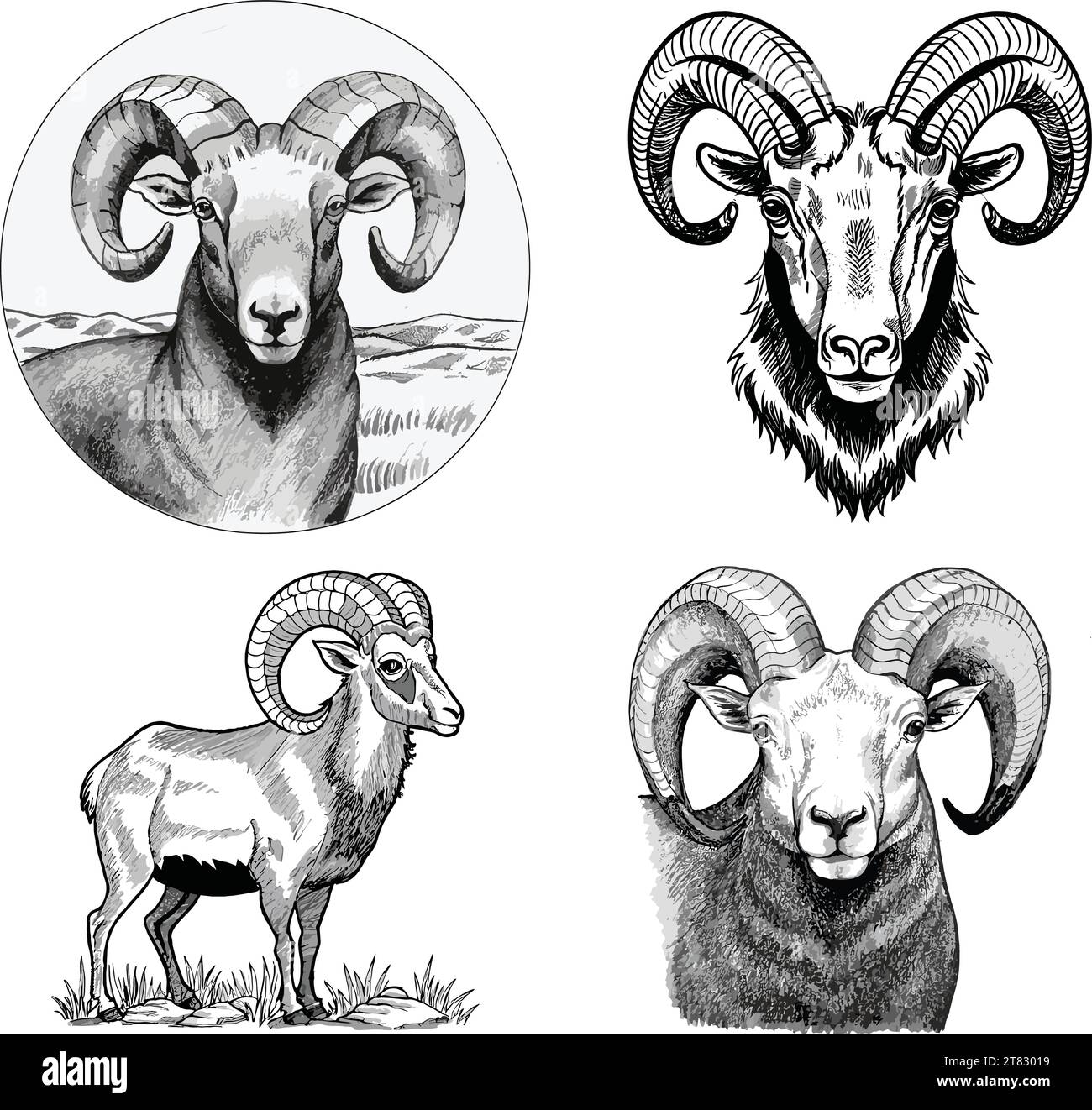 Set of Bighorn sheep head icon illustration Stock Vector Image & Art
