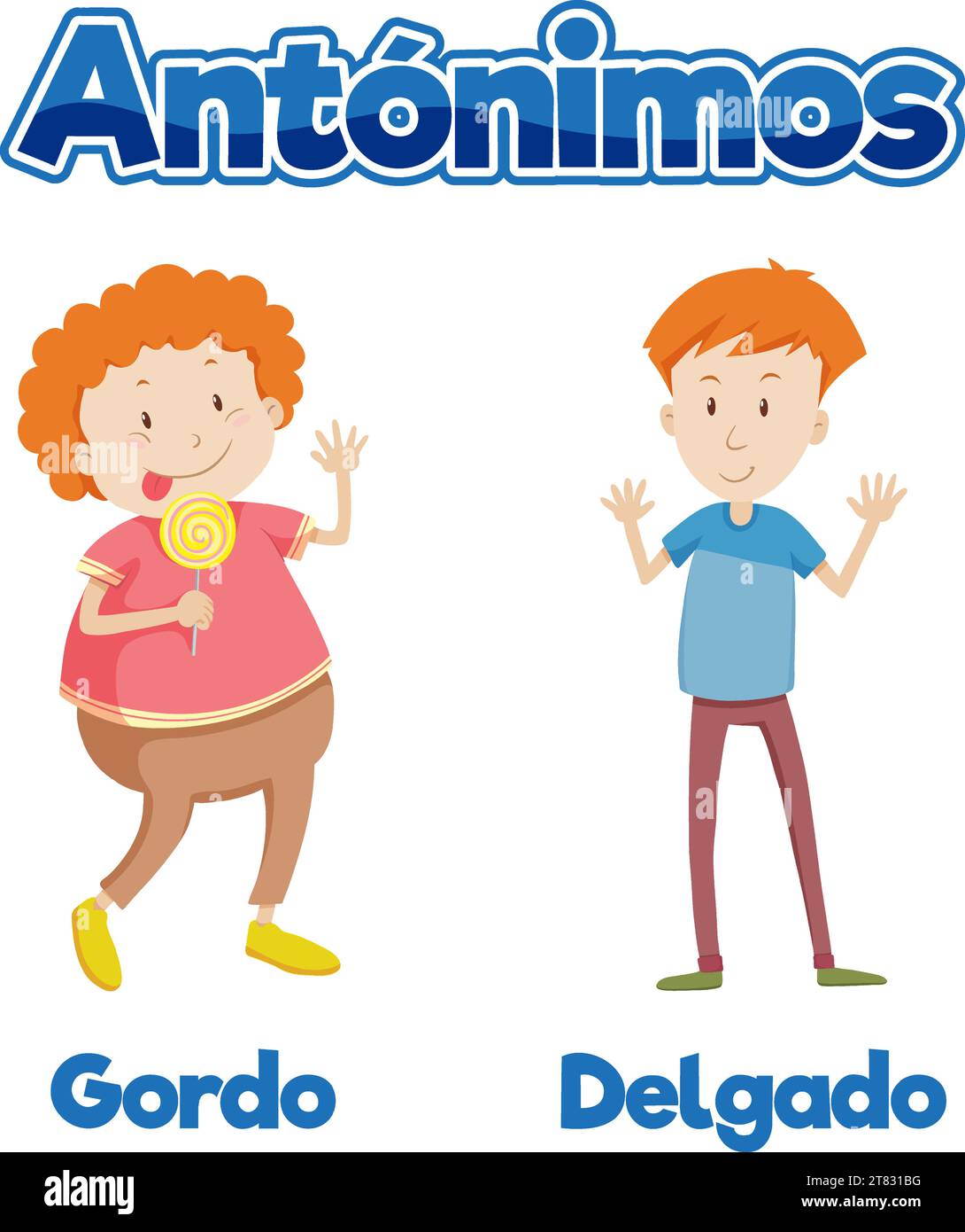 Illustrated picture word card teaching antonyms in Spanish slim and fat