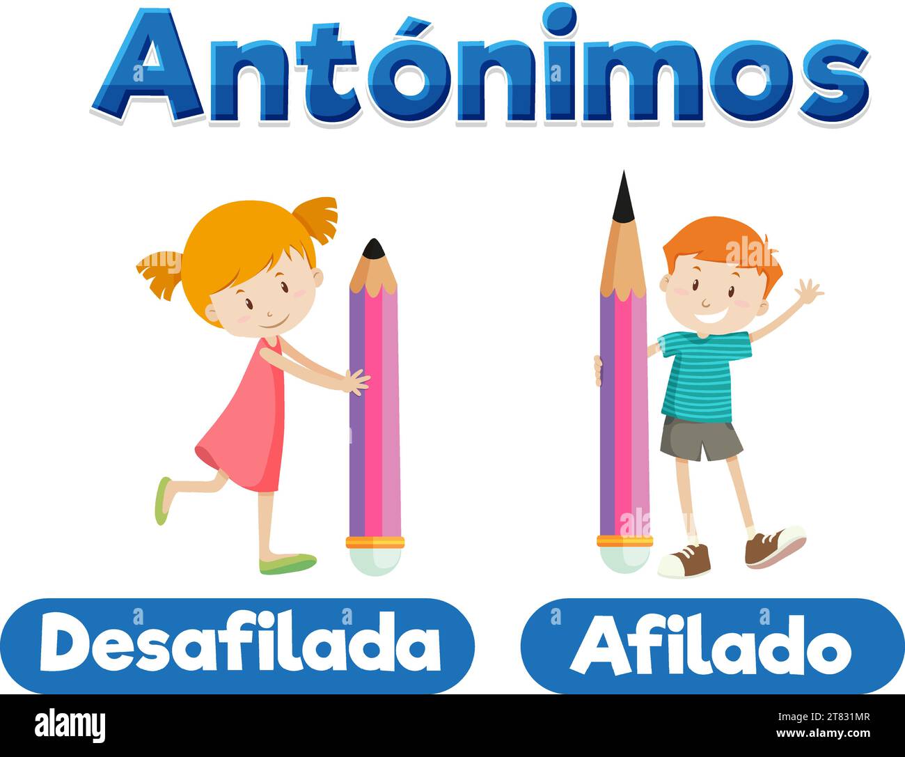 An illustrated picture word card depicting the Spanish antonyms for 'sharp' and 'blunt' in education Stock Vector