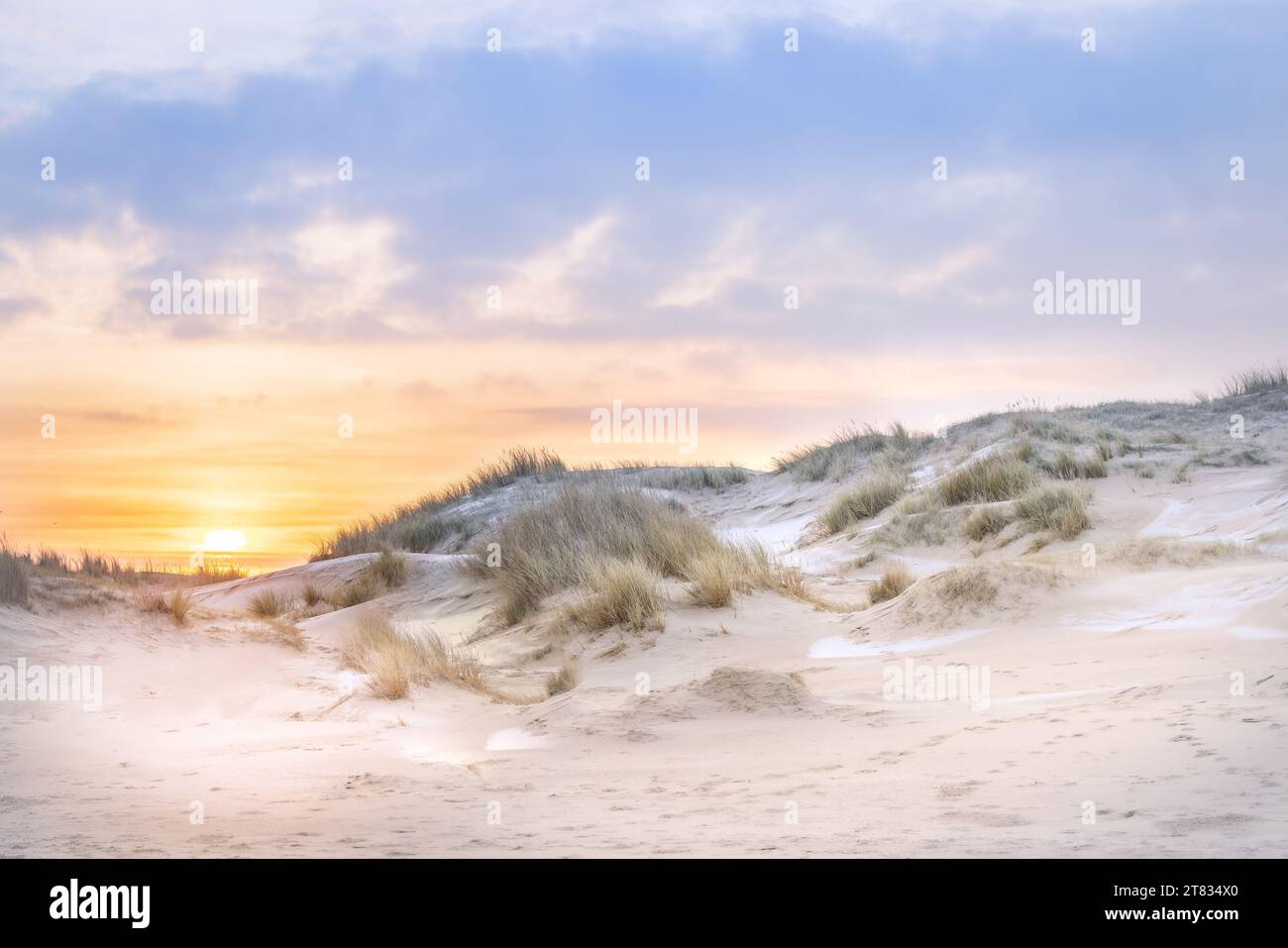 Paysage dunaire au lever de soleil, France, Côte d'Opale Stock Photo