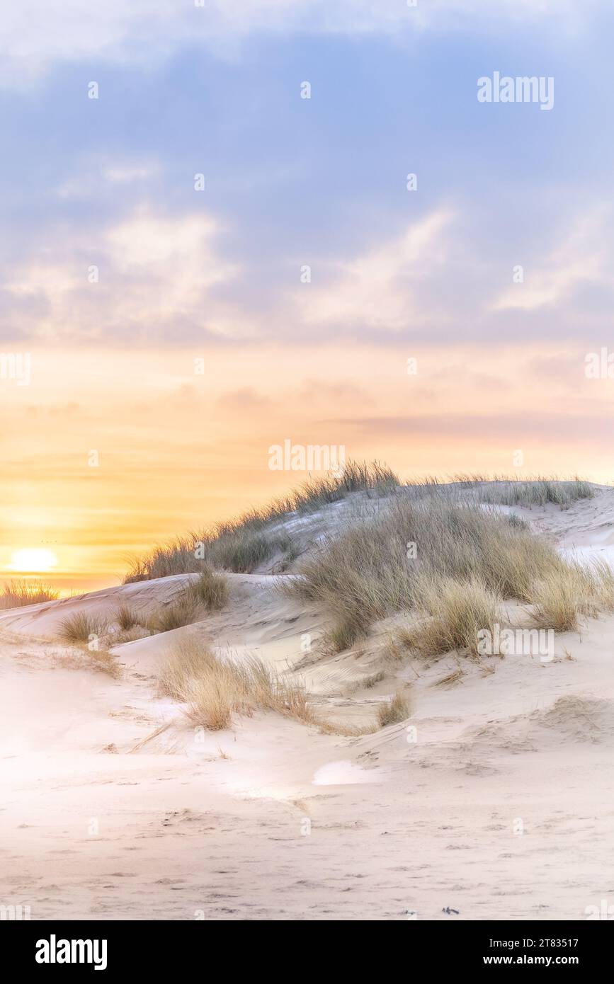 Dunes de Calais au lever de soleil, France, Côte d'Opale Stock Photo